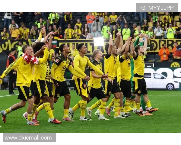 德甲精彩对决门兴主场迎战达姆施塔特全力争胜